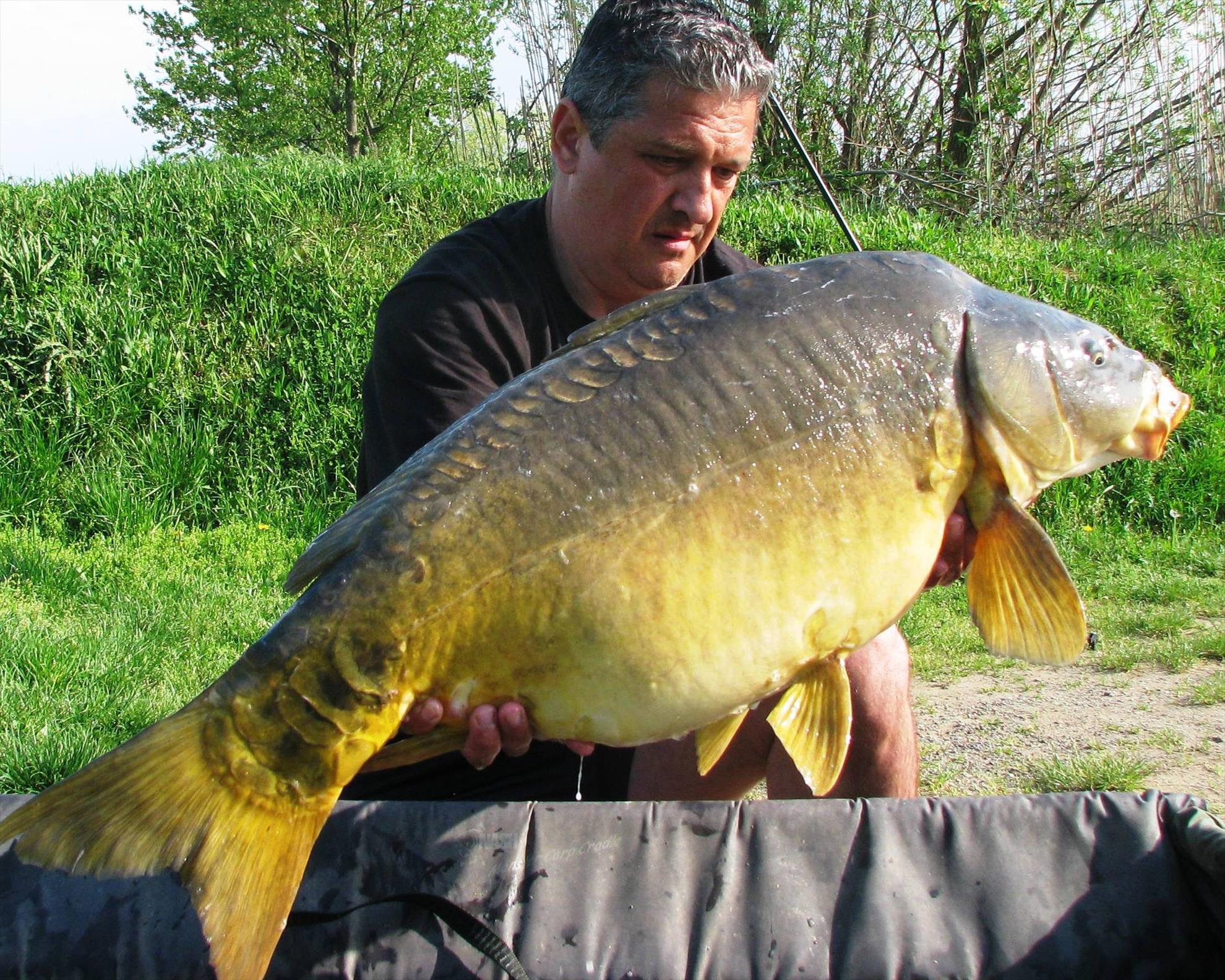 Pelagicevo Jezero  aprilie 2015 - img2078.JPG